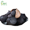 PLANTBIO Natural fermented black garlic extract powder pure black garlic powder